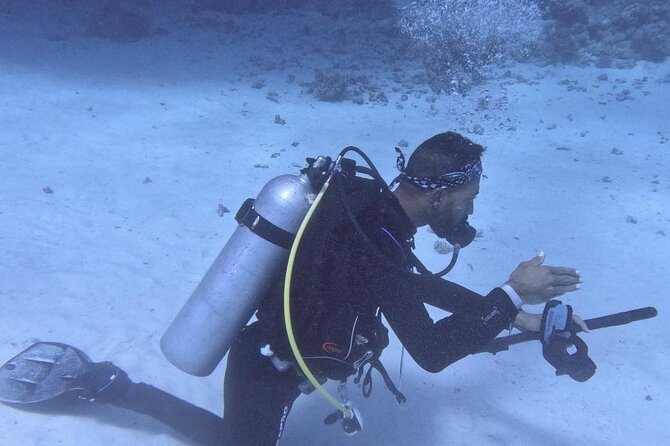 Course for Padi OW in Red Sea and Sinai - Moving from practice to the Red Sea