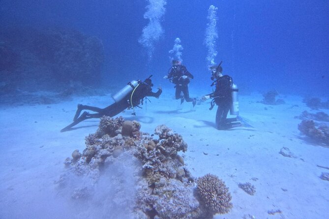 Course for Padi OW in Red Sea and Sinai - Is $450 good value?