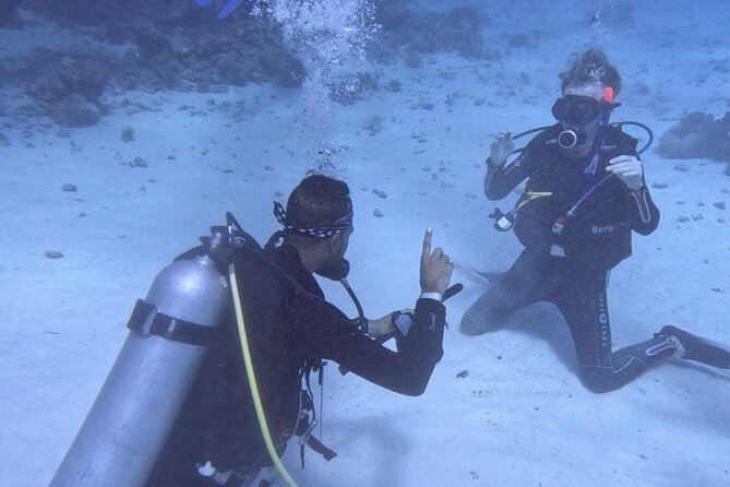 Course for Padi OW in Red Sea and Sinai - Classroom study before the water work