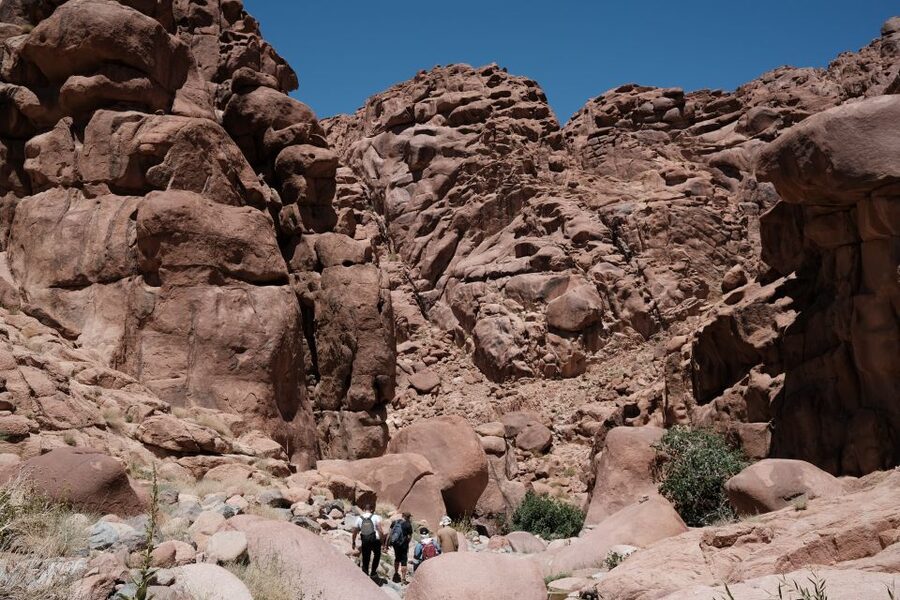 Dahab Safari from Sharm El-Sheikh: Canyon Salama & Blue Hole - What the $70 Price Really Buys