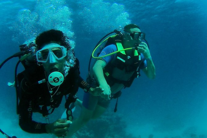Daily 2 Dives with Equipment from Hurghada - What this Hurghada boat day is really like