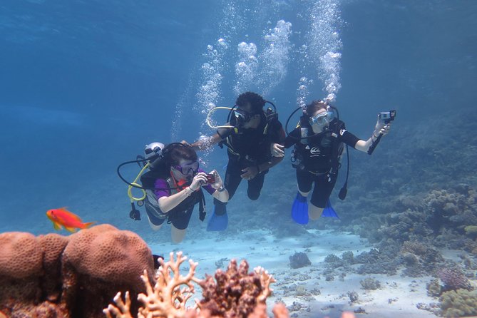 Daily 2 Dives with Equipment from Hurghada - The biggest question: how long are you underwater?