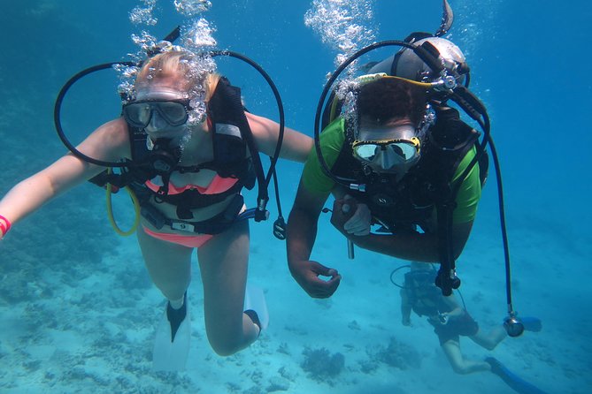 Daily 2 Dives with Equipment from Hurghada - Lunch on board and the pace between sessions