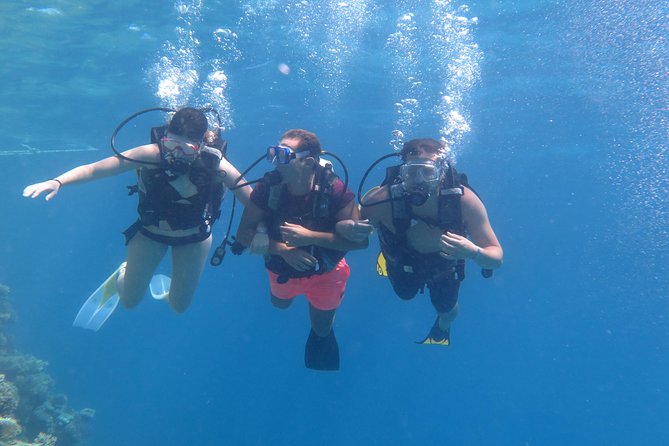 Daily 2 Dives with Equipment from Hurghada - Who should book this outing?