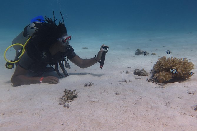 Daily 2 Dives with Equipment from Hurghada - Abu Ramada, Small Giftun, and Umm Gamar