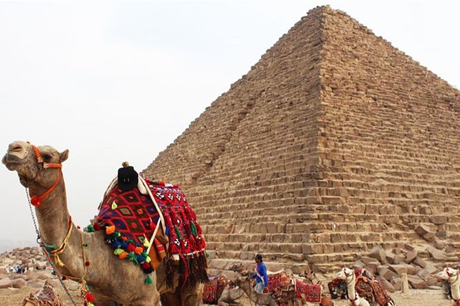 Day Tour To Cairo From Alexandria - Guide quality, flexibility, and pace