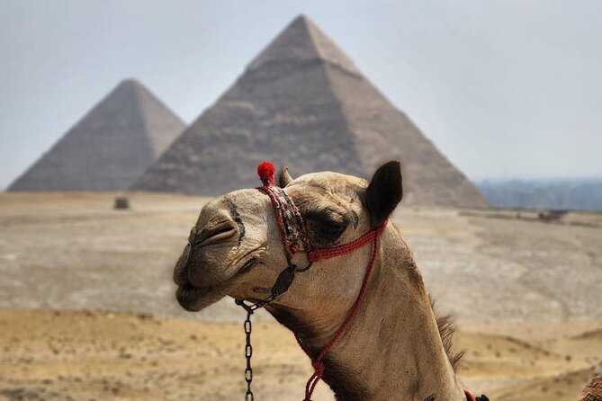 Day Tour to Giza Pyramids, Memphis City And Saqqara Pyramid - Memphis: Egypt’s early capital in one hour