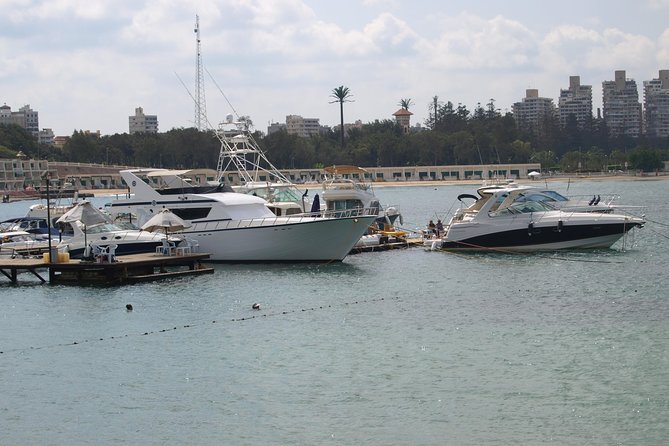Day Trip to Alexandria from Cairo - Bibliotheca Alexandrina: ancient ideas, modern architecture