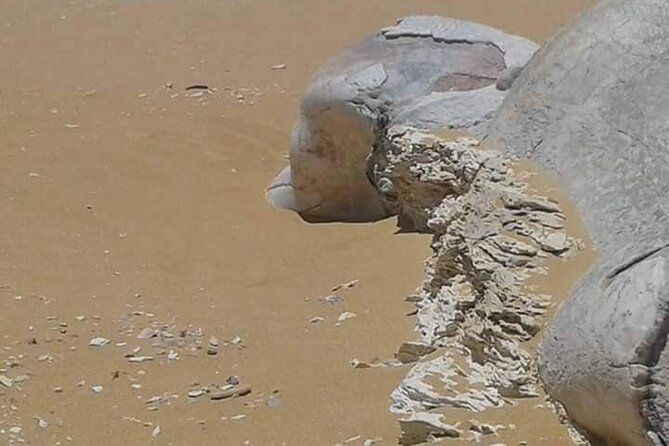 Day Trip To Bahariya Oasis Visit Black And White Desert From Cairo - What the private format really gives you