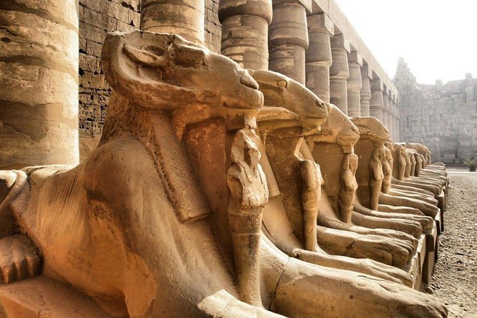 Day Trip To Luxor From Cairo By Plane - Private Guide Quality Can Make or Break the Day