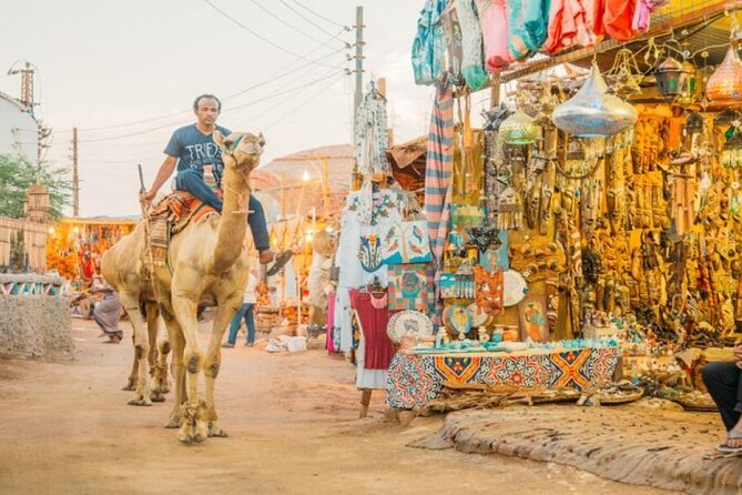 Day Trip to Nubian Village with Camel Tour from Aswan - Why the private format matters
