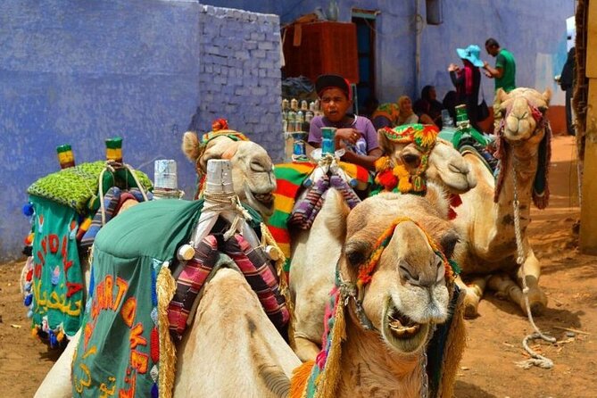 Day Trip to Nubian Village with Camel Tour from Aswan - The camel ride: a small extra, not the whole reason to go