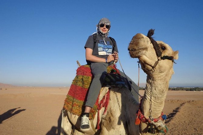 Desert Safari Tour by ATV Quad Bike and Camel Ride - Hurghada - Riding the dunes from Hurghada
