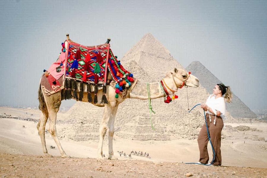 Discover Cairo: Pyramids, Museum & Sphinx Tour from Hurghada - Who should book this Cairo day trip?