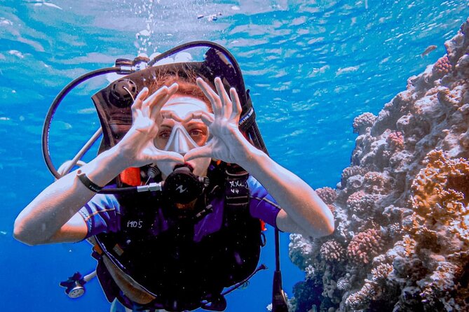 Discover Scuba Diving Sharm El Sheikh - Shore session or boat trip to Ras Mohamed