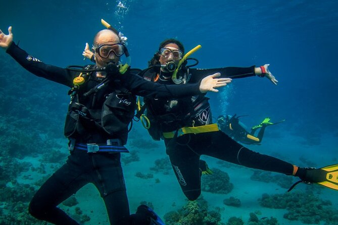 Diving Full Day 2 Stops Boat Trip For Beginners With Lunch and Transfer–Hurghada - From your hotel to Hurghada marina