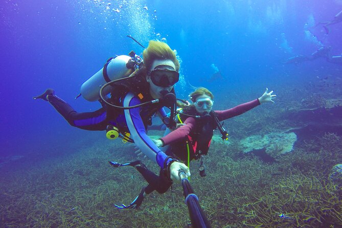Diving Full Day 2 Stops Boat Trip For Beginners With Lunch and Transfer–Hurghada - Second stop: a second chance to get comfortable