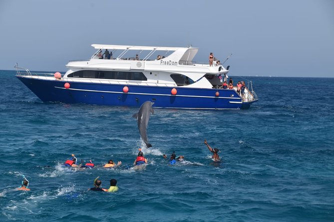 Dolphin House and Banana Boat Fun from Hurghada - A Red Sea day built around a wild encounter