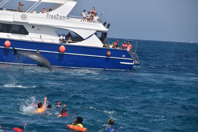 Dolphin House and Banana Boat Fun from Hurghada - Pickup from Hurghada, El Gouna, or Makadi