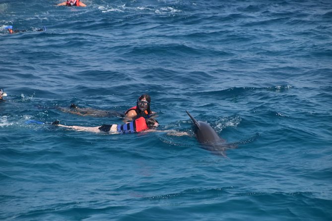 Dolphin House and Banana Boat Fun from Hurghada - Swimming near wild dolphins