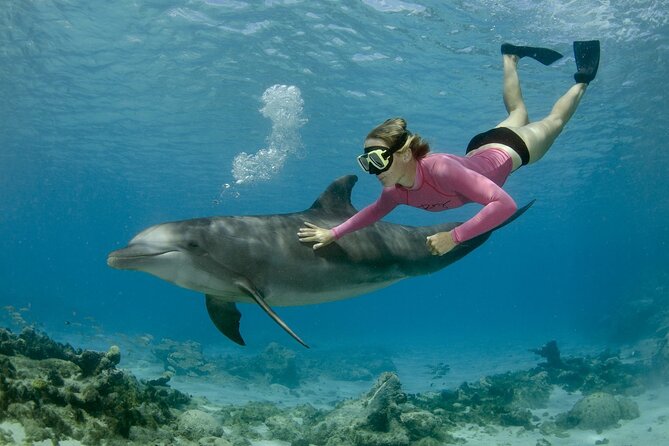 Dolphin House By Private Speed Boat & Drinks & Transfer-Hurghada - Leaving Hurghada around 8:00 am