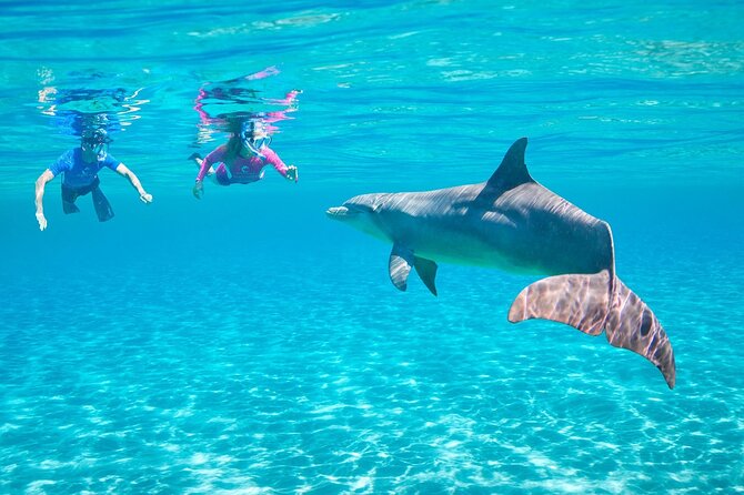 Dolphin House By Private Speed Boat & Drinks & Transfer-Hurghada - Drinks, fishing, and optional fun on the water