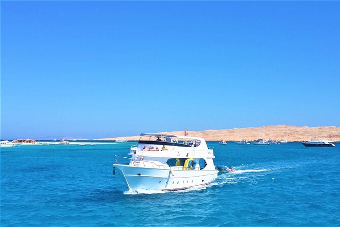 Dolphin House By Private Speed Boat & Drinks & Transfer-Hurghada - What the $50 price really buys