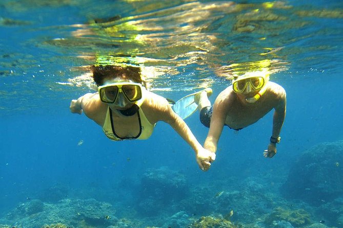 Dolphin House Royal sea Trip Luxury Boat With Transfer - Hurghada - Leaving Hurghada Around 8:00 a.m.
