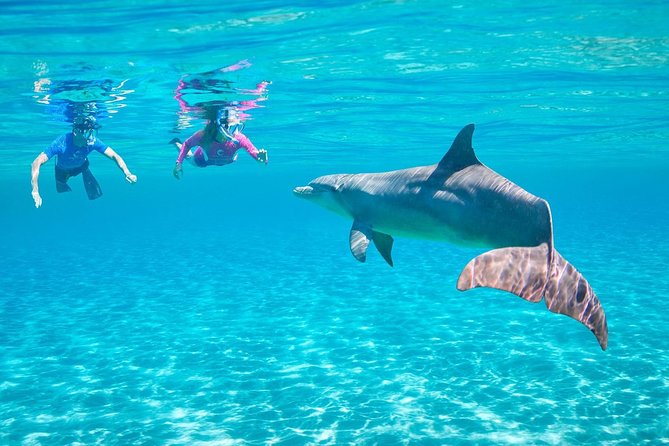 Dolphin House Royal Sea Trip Water Sports W/Transfer - HURGHADA - Family suitability and swimming ability