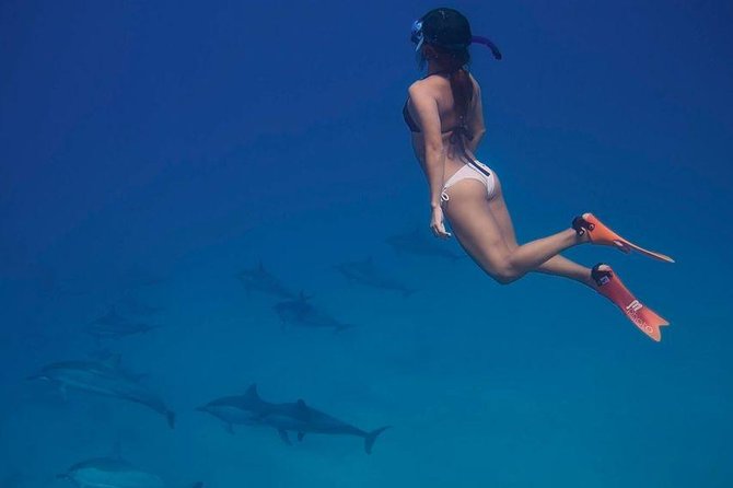 Dolphin House Royal VIP Special Day Snorkeling Sea Trip With Lunch - Hurghada - Two Snorkeling Stops Over Coral Reefs