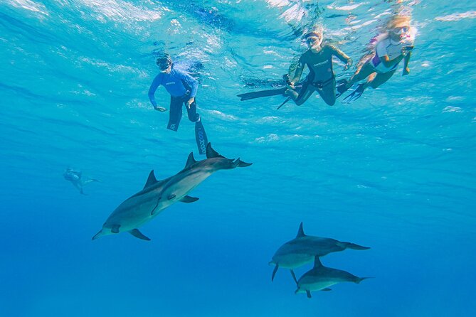 Dolphin House Samadai Reef Boat Snorkeling Trip from Marsa Alam - The boat ride to Shaab Samadai