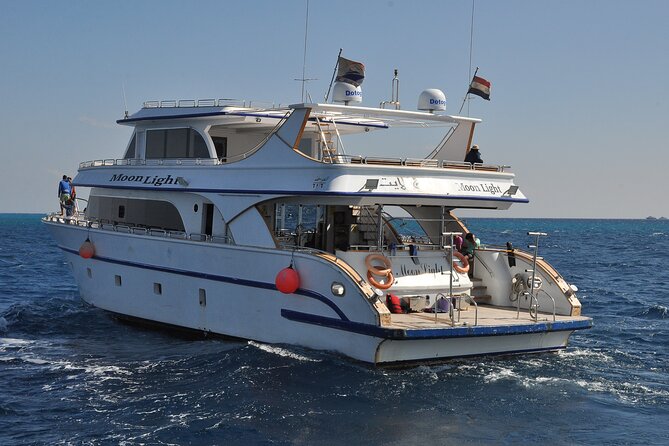 Dolphin House Snorkel & Water Fun Activity with Lunch - Hurghada - What the low price really means