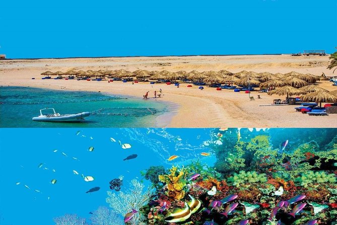 Dolphin House Snorkeling Day Cruise with Lunch from Hurghada - Key points to know before booking