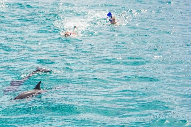 Dolphin House Snorkeling Trip + Water Sport With Lunch - Hurghada - Water sports after the snorkeling