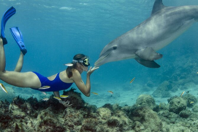 Dolphin House Snorkeling Trip & Water Sports with Lunch -Hurghada - Quick points before you book