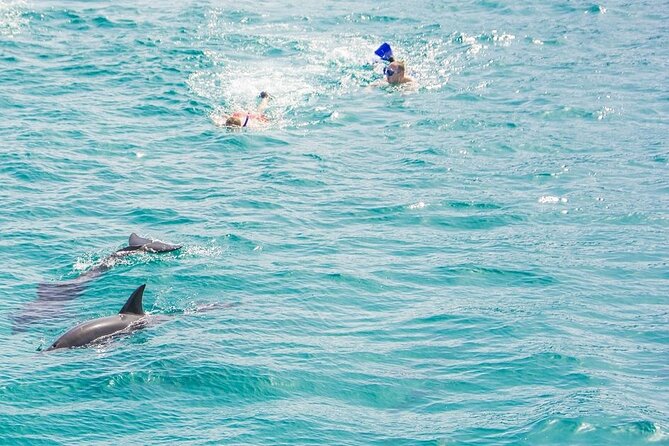 Dolphin House Snorkeling Trip & Water Sports with Lunch -Hurghada - Water sports after the reef stop