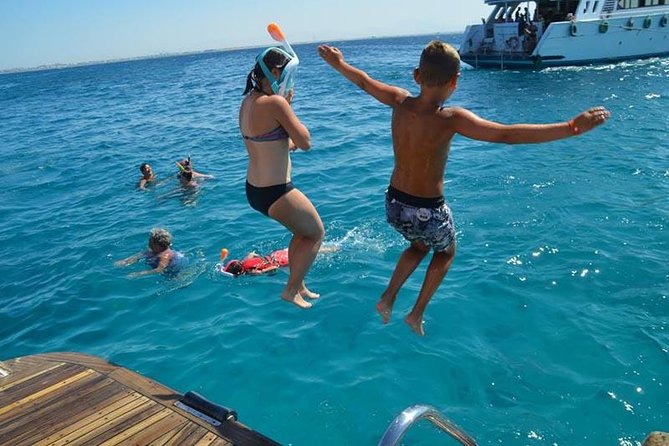 Dolphin Tour in Hurghada - Searching for spinner dolphins in the wild