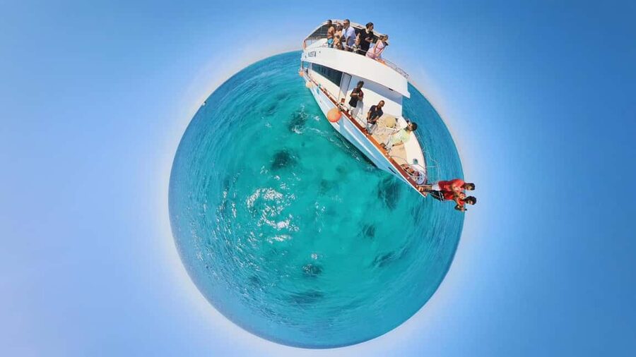 Dolphin Tour with Red Sea Fun. The Best in Hurghada - Leaving Hurghada at 8:30 a.m.