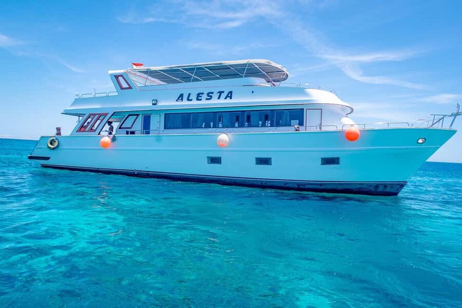 Dolphin Tour with Red Sea Fun. The Best in Hurghada - Searching for dolphins in open water