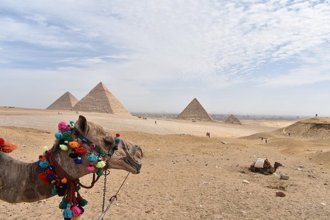 Egypt Tours package for 6 Days - Egyptian Museum and the first look at the pyramids