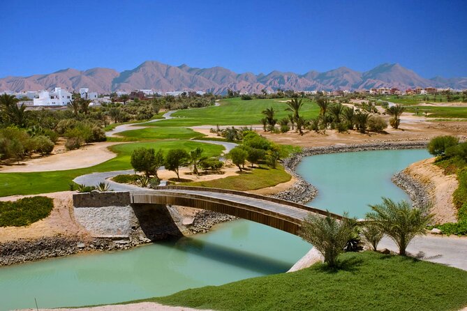 EL Gouna City Tour: Guided Tour with Shopping Stops from Hurghada - What the private format changes