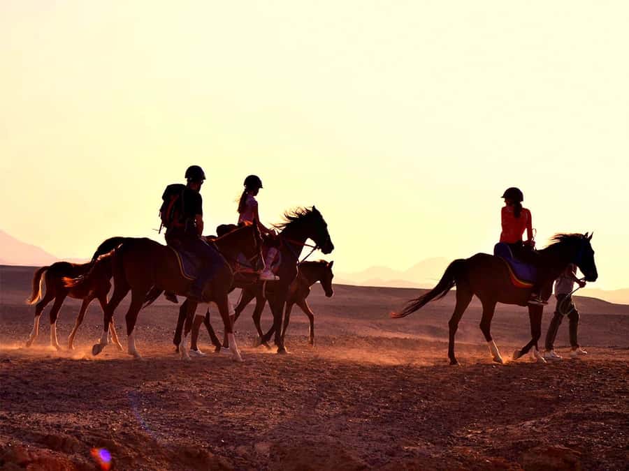 El Gouna: Desert & Sea Horse Riding With Swimming Optional - Key points to know before booking