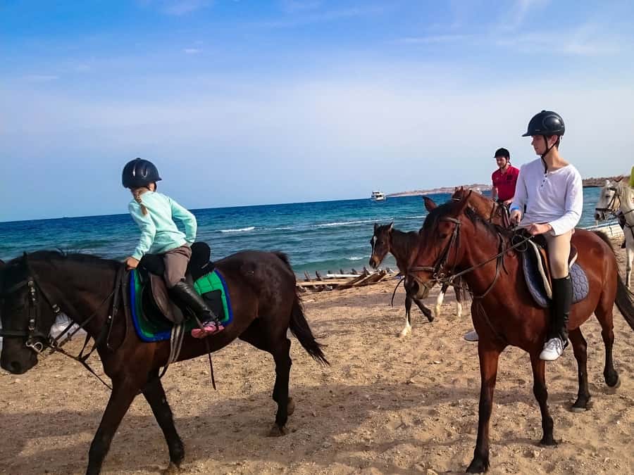 El Gouna: Desert & Sea Horse Riding With Swimming Optional - The practical value of $26