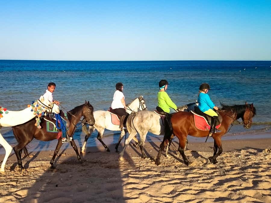 El Gouna: Desert & Sea Horse Riding With Swimming Optional - What makes the VIP four-hour ride different