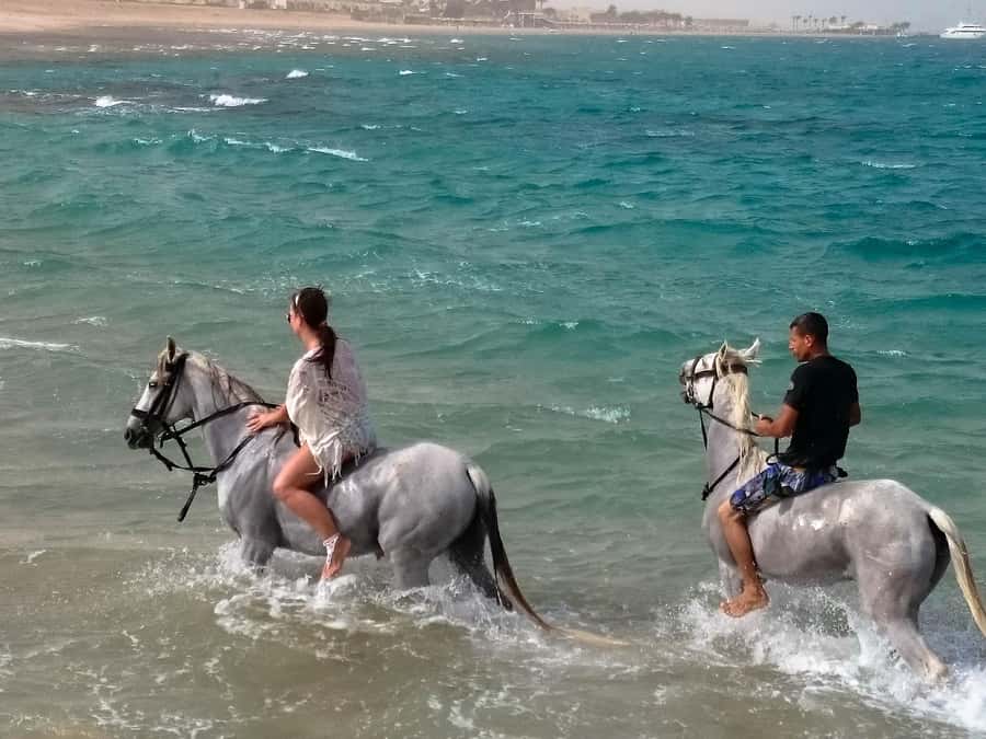 El Gouna: Desert & Sea Horse Riding With Swimming Optional - Shared group or private tour?