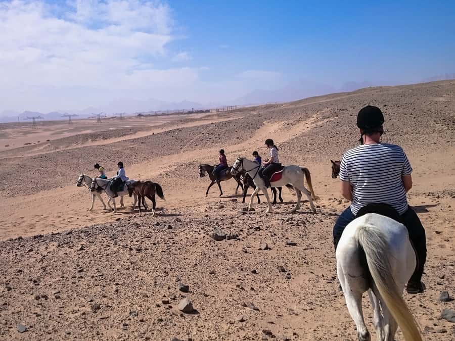 El Gouna: Desert & Sea Horse Riding With Swimming Optional - What to pack and what to leave behind