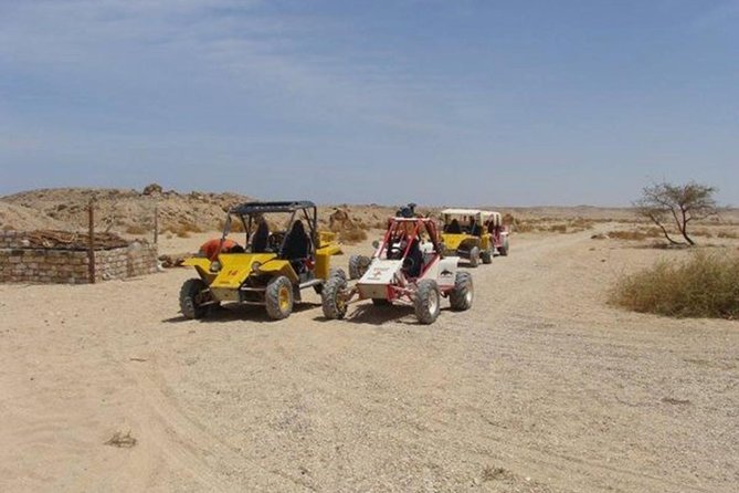 El Gouna Sahara Dune Buggy Morning Adventure - Key points to know before you book