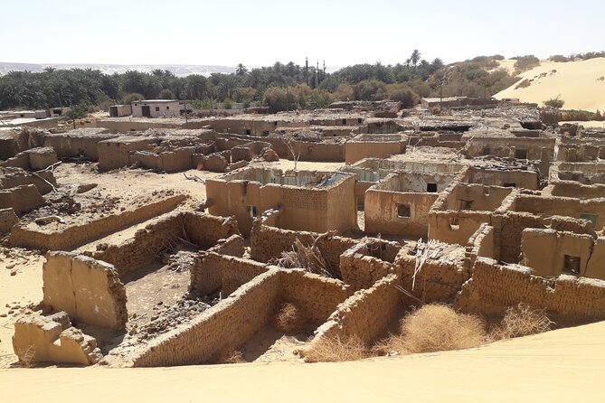 Enjoy safari The black and white desert two night 3 days - Food, drinks, and the camp routine