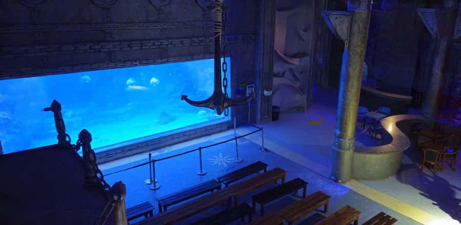 Entry Ticket: Grand Aquarium Hurgada - Walking beneath sharks in the 24-meter tunnel