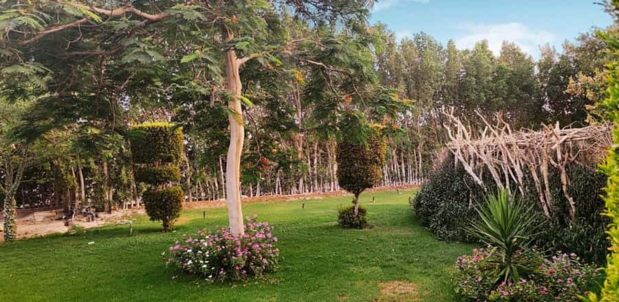 Entry Ticket: Grand Aquarium Hurgada - From the rope bridge to the rainforest